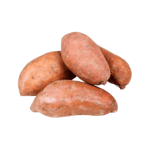 Sweet Potato